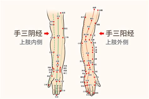 胳膊上的穴位